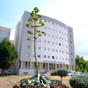 baunde 20 yil sonra cicek acan agave VSqL6gTV