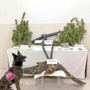 uyusturucu ve kacak avcilikla tutuklama XOiM9jw8