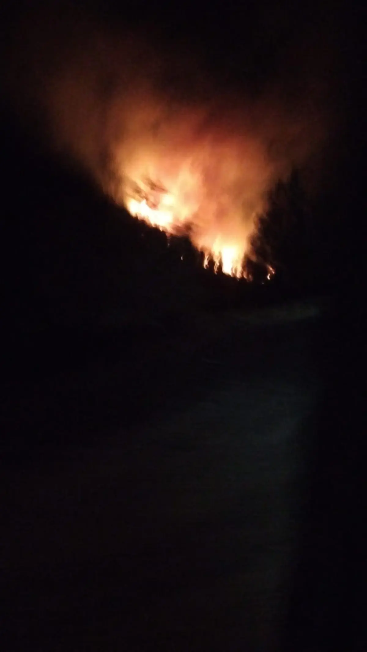 koycegizde orman yangini PRiakaEK