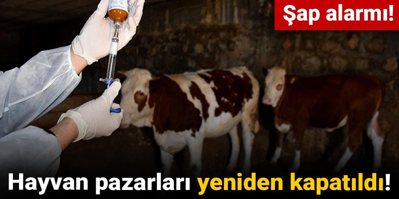 sap alarmi hayvan pazarlari yeniden kapatildi 2gXy7hzq