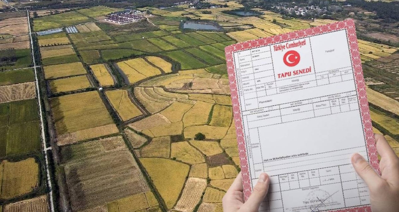 13 bin lirasi olan tapu sahibi olacak milli emlaktan dev arsa firsati 7VVskPMx.jpg