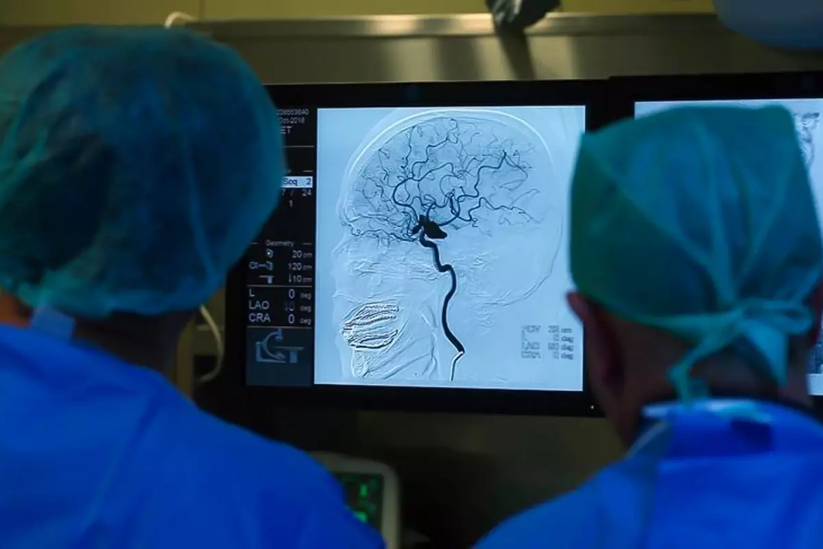 turkiyede yillar sonra 2 vaka goruldu tedavisi yok komaya goturuyor S79iPIvL.jpg